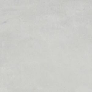 Fossil 1 text e1675101382119