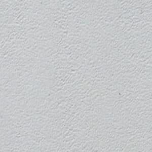 Wolf 1 text e1675101838298